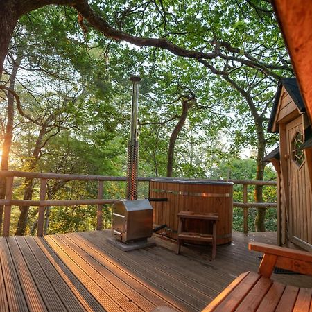Chestnut Tree House With Hot Tub & Sauna Barmouth Extérieur photo