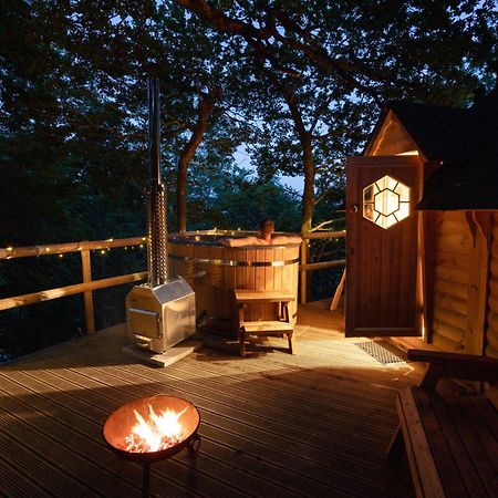 Chestnut Tree House With Hot Tub & Sauna Barmouth Extérieur photo