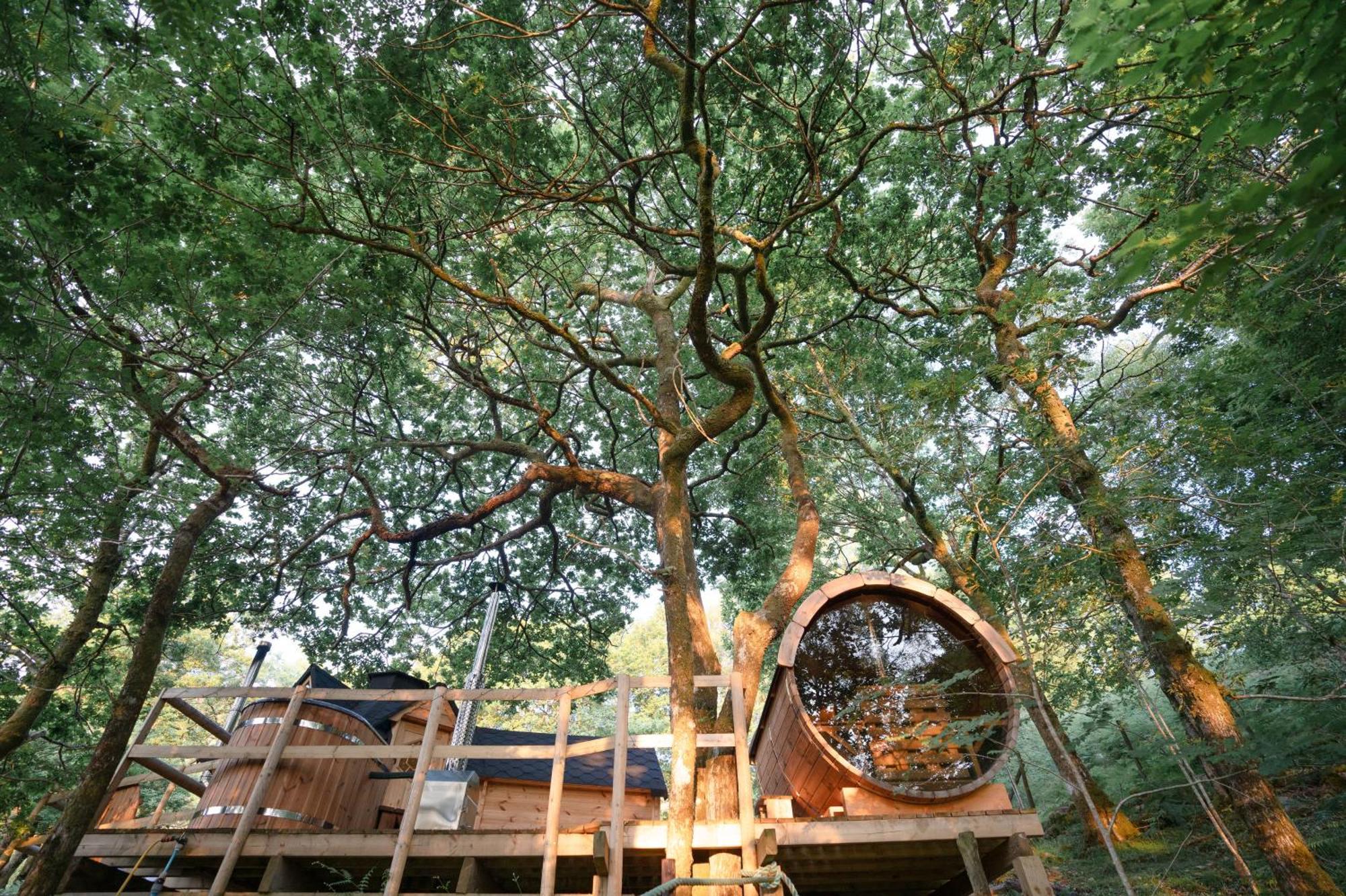 Chestnut Tree House With Hot Tub & Sauna Barmouth Extérieur photo